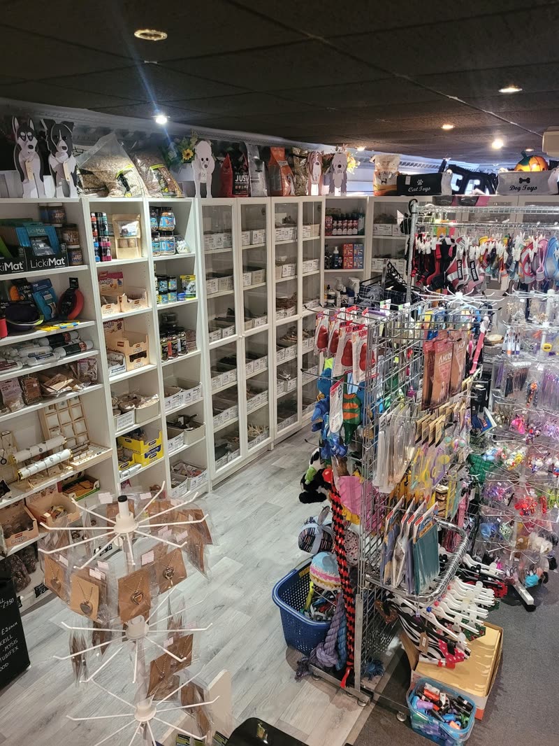 Inside the shop, shelves of pet treats, toys and accessories with a spinner rack of leads and collars