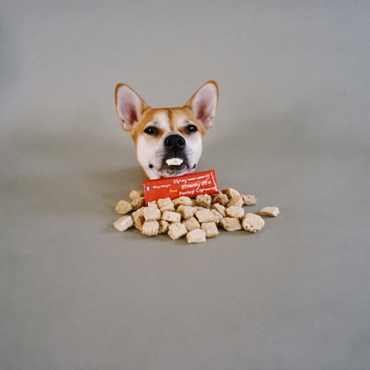 Natural dog treats and a chew